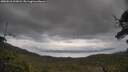 ./images/calvert/fitz-hugh-hecate/20250618/fitz-hugh-hecate20250618_202008M.jpg
