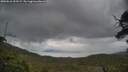 ./images/calvert/fitz-hugh-hecate/20250618/fitz-hugh-hecate20250618_202508M.jpg