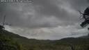 ./images/calvert/fitz-hugh-hecate/20250618/fitz-hugh-hecate20250618_204008M.jpg