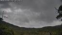 ./images/calvert/fitz-hugh-hecate/20250618/fitz-hugh-hecate20250618_204508M.jpg