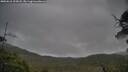 ./images/calvert/fitz-hugh-hecate/20250618/fitz-hugh-hecate20250618_205008M.jpg