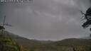 ./images/calvert/fitz-hugh-hecate/20250618/fitz-hugh-hecate20250618_205508M.jpg