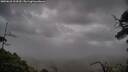 ./images/calvert/fitz-hugh-hecate/20250618/fitz-hugh-hecate20250618_210510M.jpg