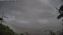 ./images/calvert/fitz-hugh-hecate/20250618/fitz-hugh-hecate20250618_211009M.jpg