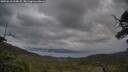 ./images/calvert/fitz-hugh-hecate/20250618/fitz-hugh-hecate20250618_214009M.jpg