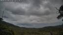 ./images/calvert/fitz-hugh-hecate/20250618/fitz-hugh-hecate20250618_214509M.jpg
