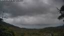 ./images/calvert/fitz-hugh-hecate/20250618/fitz-hugh-hecate20250618_215008M.jpg