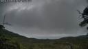 ./images/calvert/fitz-hugh-hecate/20250618/fitz-hugh-hecate20250618_215508M.jpg