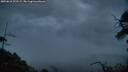 ./images/calvert/fitz-hugh-hecate/20250618/fitz-hugh-hecate20250618_221508M.jpg