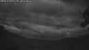 ./images/calvert/fitz-hugh-hecate/20250618/fitz-hugh-hecate20250618_224506M.jpg
