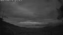 ./images/calvert/fitz-hugh-hecate/20250619/fitz-hugh-hecate20250619_043009M.jpg
