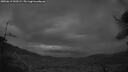 ./images/calvert/fitz-hugh-hecate/20250619/fitz-hugh-hecate20250619_043508M.jpg