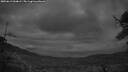 ./images/calvert/fitz-hugh-hecate/20250619/fitz-hugh-hecate20250619_044009M.jpg
