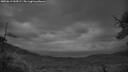 ./images/calvert/fitz-hugh-hecate/20250619/fitz-hugh-hecate20250619_044506M.jpg
