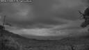 ./images/calvert/fitz-hugh-hecate/20250619/fitz-hugh-hecate20250619_045008M.jpg