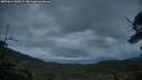 ./images/calvert/fitz-hugh-hecate/20250619/fitz-hugh-hecate20250619_050008M.jpg