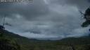 ./images/calvert/fitz-hugh-hecate/20250619/fitz-hugh-hecate20250619_050508M.jpg