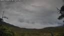 ./images/calvert/fitz-hugh-hecate/20250619/fitz-hugh-hecate20250619_052009M.jpg