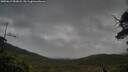 ./images/calvert/fitz-hugh-hecate/20250619/fitz-hugh-hecate20250619_053008M.jpg