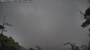 ./images/calvert/fitz-hugh-hecate/20250619/fitz-hugh-hecate20250619_055008M.jpg