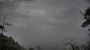 ./images/calvert/fitz-hugh-hecate/20250619/fitz-hugh-hecate20250619_055507M.jpg