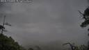./images/calvert/fitz-hugh-hecate/20250619/fitz-hugh-hecate20250619_060009M.jpg