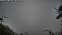 ./images/calvert/fitz-hugh-hecate/20250619/fitz-hugh-hecate20250619_064008M.jpg