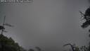 ./images/calvert/fitz-hugh-hecate/20250619/fitz-hugh-hecate20250619_065509M.jpg