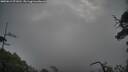 ./images/calvert/fitz-hugh-hecate/20250619/fitz-hugh-hecate20250619_071010M.jpg