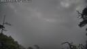 ./images/calvert/fitz-hugh-hecate/20250619/fitz-hugh-hecate20250619_071508M.jpg