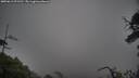 ./images/calvert/fitz-hugh-hecate/20250619/fitz-hugh-hecate20250619_072510M.jpg
