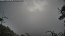 ./images/calvert/fitz-hugh-hecate/20250619/fitz-hugh-hecate20250619_073010M.jpg