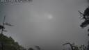./images/calvert/fitz-hugh-hecate/20250619/fitz-hugh-hecate20250619_074010M.jpg