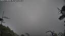 ./images/calvert/fitz-hugh-hecate/20250619/fitz-hugh-hecate20250619_081009M.jpg
