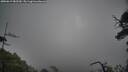 ./images/calvert/fitz-hugh-hecate/20250619/fitz-hugh-hecate20250619_082510M.jpg