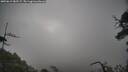 ./images/calvert/fitz-hugh-hecate/20250619/fitz-hugh-hecate20250619_083506M.jpg