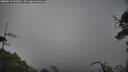 ./images/calvert/fitz-hugh-hecate/20250619/fitz-hugh-hecate20250619_084510M.jpg