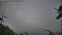 ./images/calvert/fitz-hugh-hecate/20250619/fitz-hugh-hecate20250619_085508M.jpg