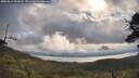 ./images/calvert/fitz-hugh-hecate/20250619/fitz-hugh-hecate20250619_093011M.jpg