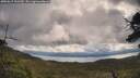 ./images/calvert/fitz-hugh-hecate/20250619/fitz-hugh-hecate20250619_102509M.jpg