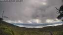 ./images/calvert/fitz-hugh-hecate/20250619/fitz-hugh-hecate20250619_103509M.jpg
