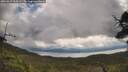 ./images/calvert/fitz-hugh-hecate/20250619/fitz-hugh-hecate20250619_104510M.jpg
