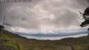 ./images/calvert/fitz-hugh-hecate/20250619/fitz-hugh-hecate20250619_105508M.jpg