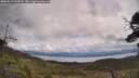 ./images/calvert/fitz-hugh-hecate/20250619/fitz-hugh-hecate20250619_110007M.jpg