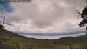 ./images/calvert/fitz-hugh-hecate/20250619/fitz-hugh-hecate20250619_110508M.jpg