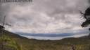 ./images/calvert/fitz-hugh-hecate/20250619/fitz-hugh-hecate20250619_111507M.jpg