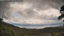 ./images/calvert/fitz-hugh-hecate/20250619/fitz-hugh-hecate20250619_112509M.jpg