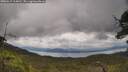 ./images/calvert/fitz-hugh-hecate/20250619/fitz-hugh-hecate20250619_114010M.jpg