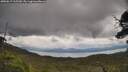 ./images/calvert/fitz-hugh-hecate/20250619/fitz-hugh-hecate20250619_115510M.jpg