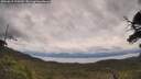 ./images/calvert/fitz-hugh-hecate/20250619/fitz-hugh-hecate20250619_120510M.jpg
